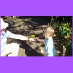 Noah Feeding Birds.jpg